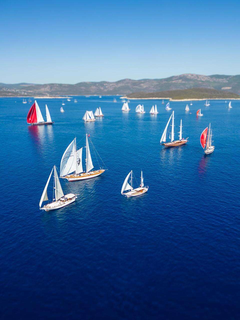 The Bodrum Cup, 38. Yılında "Bodrum Gemisi" Temasıyla Yelken Açıyor 2